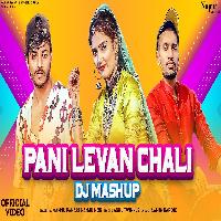 Pani Levan Chali Dj Mashup Aamin Barodi ft Divya Jangid X Mannu Pahari New Haryanvi Song 2022 By Aashu Twinkle,Kavinder Rathod Poster